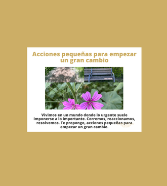 acciones pequeñas para empezar un gran cambio cristina serrano franco